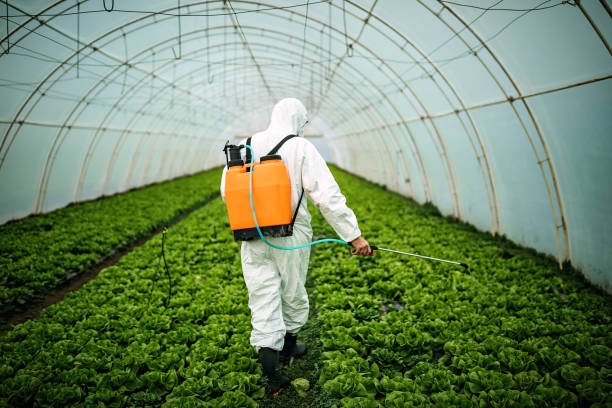 Best Pest Control Near Me  in Moss Bluff, LA