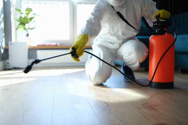 Flea Control Services in Moss Bluff, LA