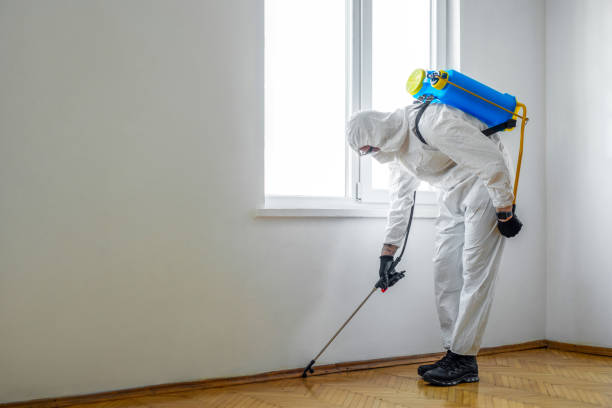 Best Best Pest Control Companies  in Moss Bluff, LA