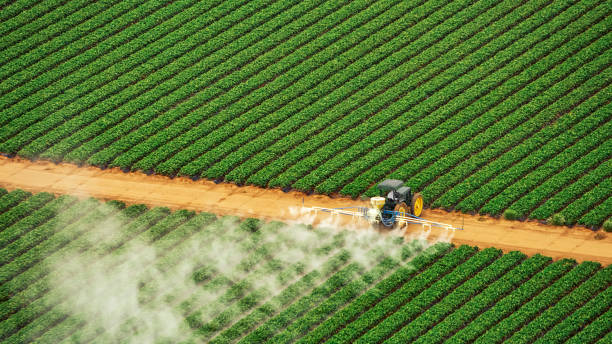 Best Mosquito Control Services  in Moss Bluff, LA