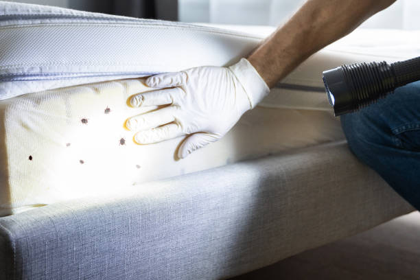 Best Pest Inspection Near Me  in Moss Bluff, LA
