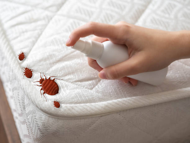 Best Pest Prevention Services  in Moss Bluff, LA
