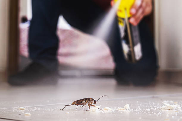 Best Best Pest Control Companies  in Moss Bluff, LA