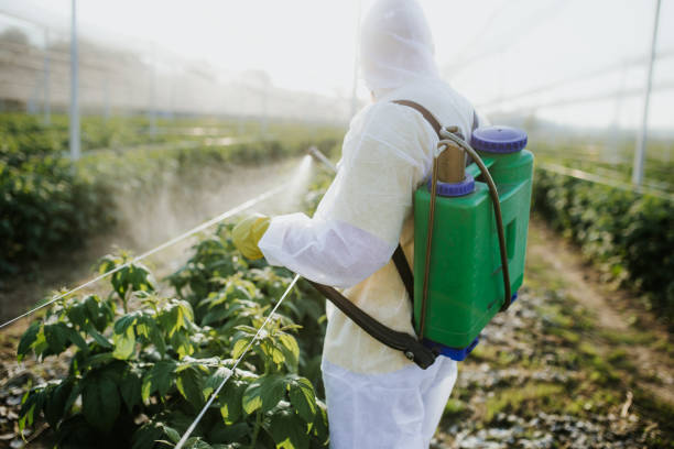 Wasp Removal Services in Moss Bluff, LA